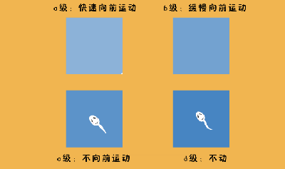 吃对了成功率也高！试管婴儿前期调理指南